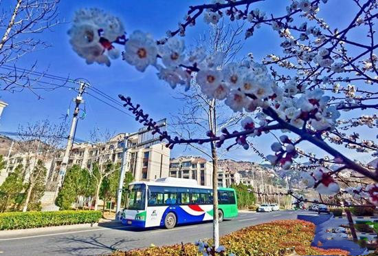 公交集團(tuán)180條線路對(duì)接地鐵！青島巴士賦能暖行讓出行更美好(圖2)